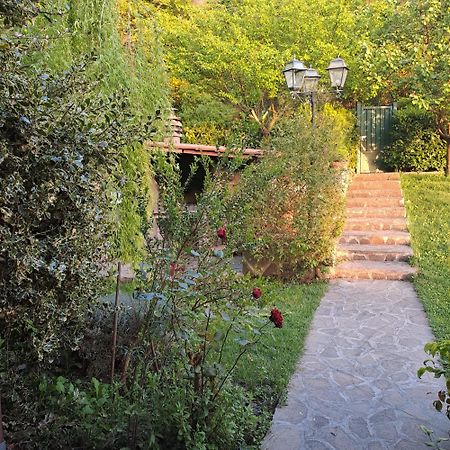 A Casa Di Matisse Hotel Campagnano Di Roma Luaran gambar
