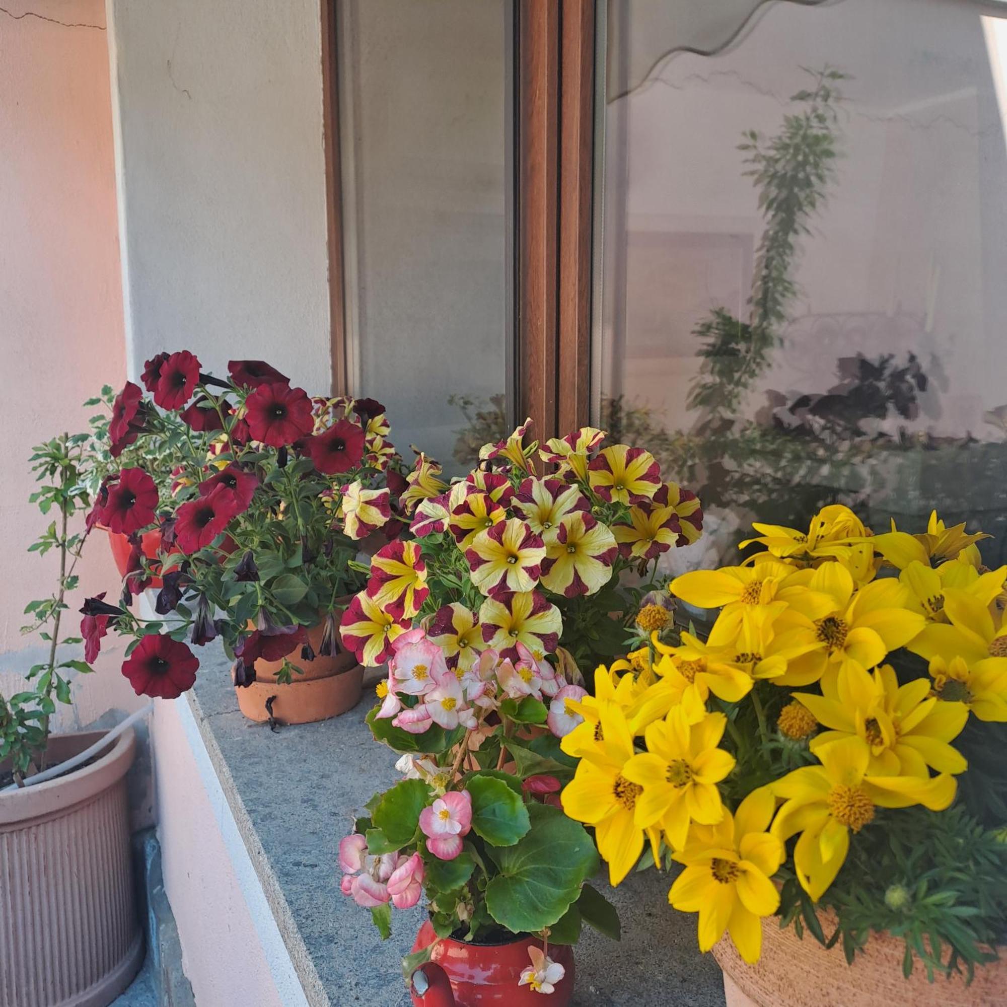 A Casa Di Matisse Hotel Campagnano Di Roma Luaran gambar