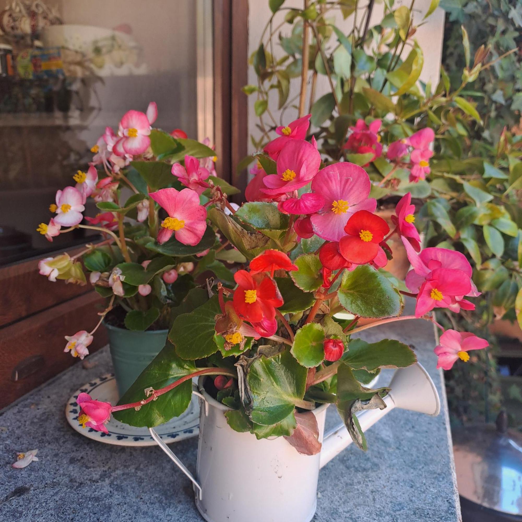 A Casa Di Matisse Hotel Campagnano Di Roma Luaran gambar